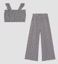 Conjunto topos